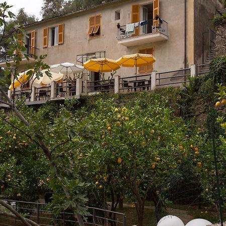 La Casa Dei Limoni Otel Monterosso al Mare Dış mekan fotoğraf