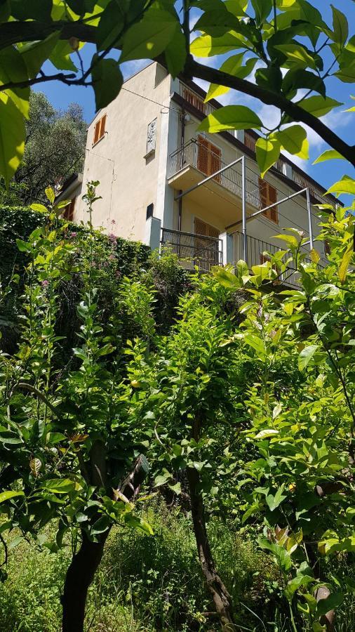La Casa Dei Limoni Otel Monterosso al Mare Dış mekan fotoğraf