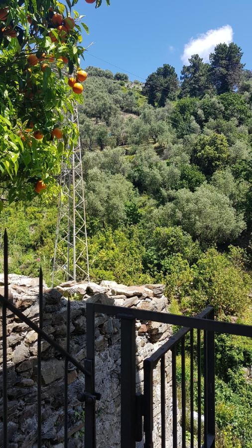 La Casa Dei Limoni Otel Monterosso al Mare Dış mekan fotoğraf