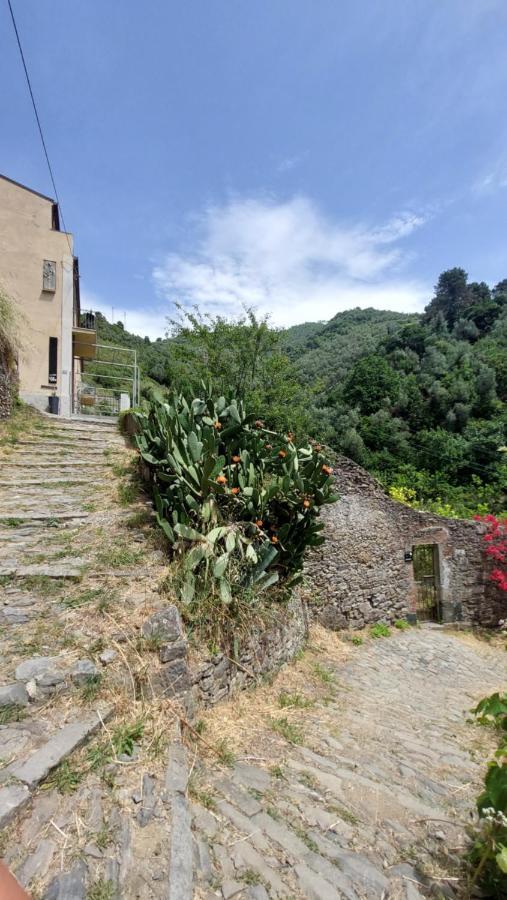 La Casa Dei Limoni Otel Monterosso al Mare Dış mekan fotoğraf